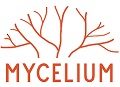 RÉSEAU MYCELIUM